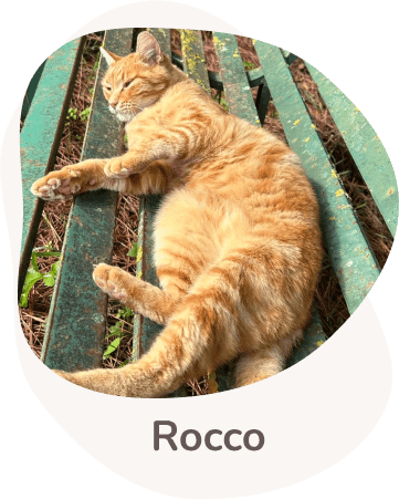 Una tenera immagine di Rocco