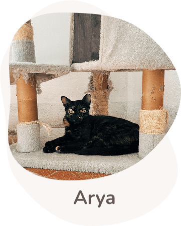 Una tenera immagine di Arya