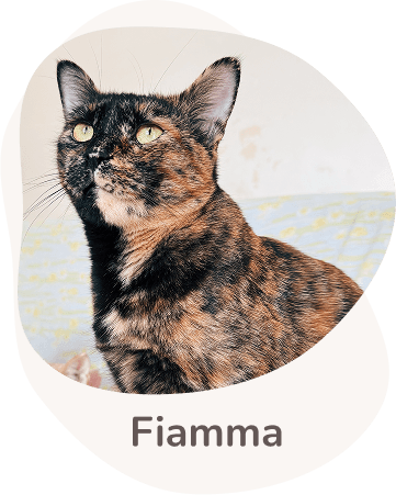 Una tenera immagine di Fiamma