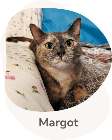 Una tenera immagine di Margot